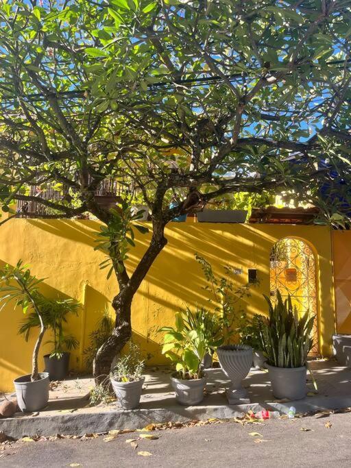 Apartment Quartos Na Casa Amarela Salvador